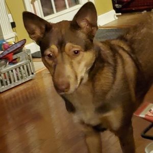 Meet your Posher, Noah